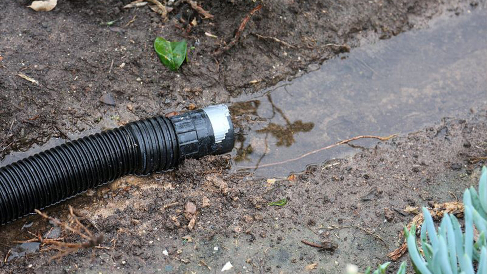 1 Drainage Service & Repair in Titusville, Florida Titusville